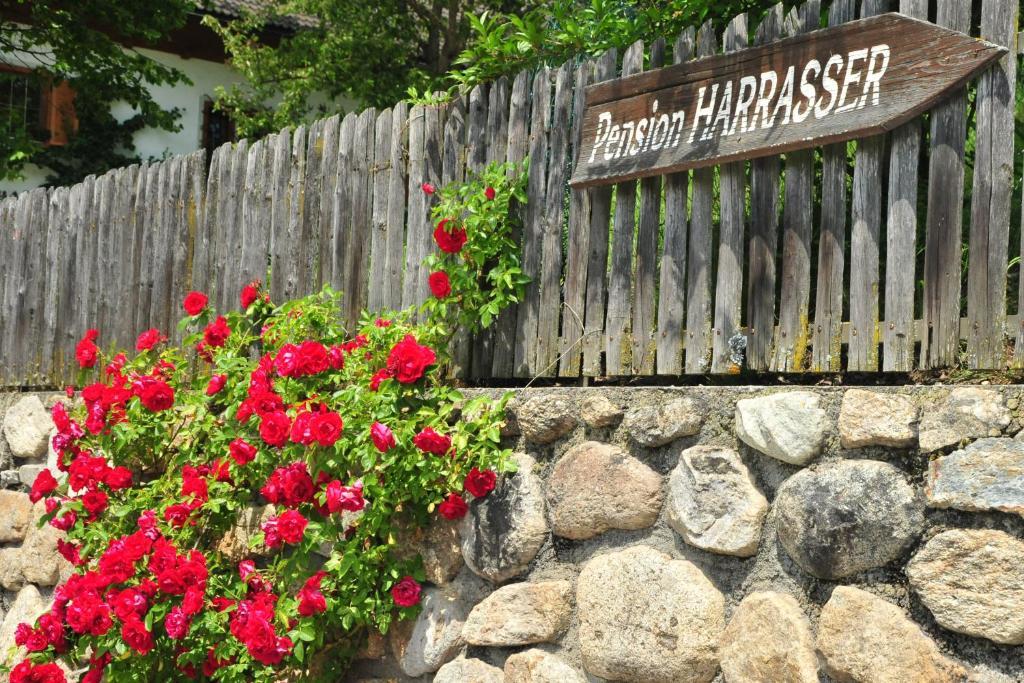 Pension Harrasser Falzes Bagian luar foto